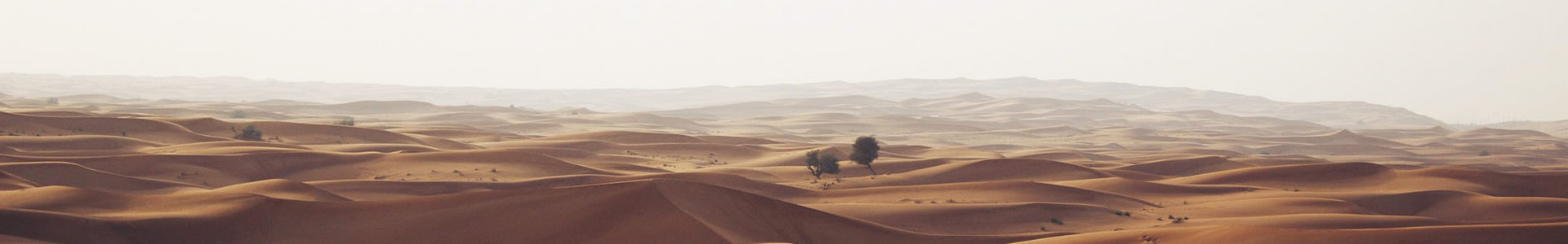 ʤɭƼ޹˾